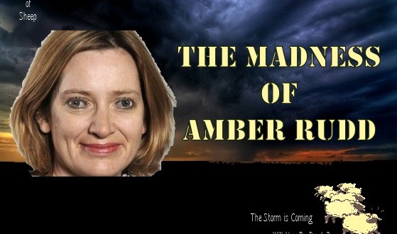 Image of the madness of Amber Rudd