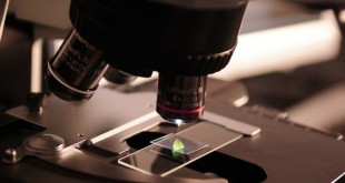 microscope