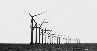 Windy Future